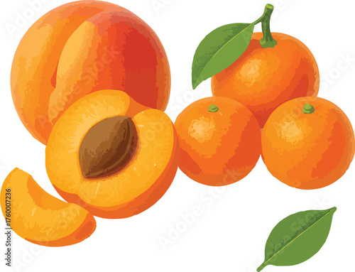 Orange fruits and apricot half with pit and leaf food