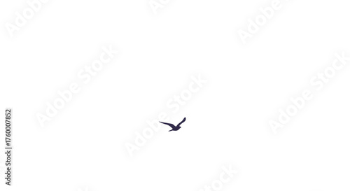 Minimalist Bird Silhouette Evoking Serenity Amidst The Expansive Darkened Sky