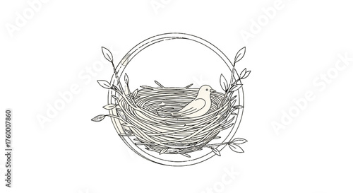 Minimalist Bird Resting in a Nest with Branches and Artistic Circle Frame Design