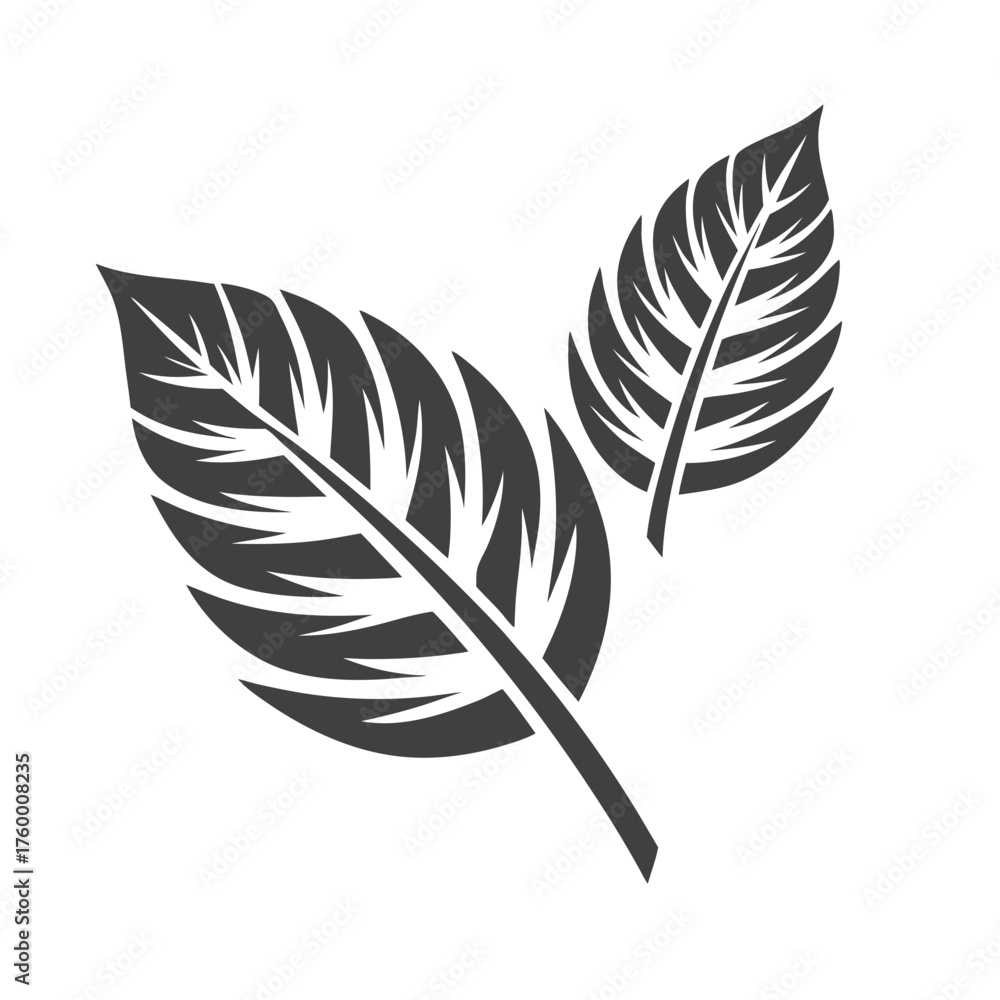 Obraz premium Handdrawn botanical leaf shows distinct veins, creating a bold single design element beautifully