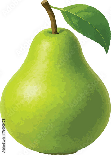Single green pear with stem and leaf fruit single fruit