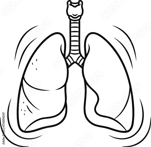 Vector drawing of a black line art silhouette of a human lung for medical poster design, an iconic symbol of medical design.