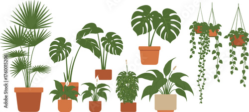 Indoor houseplant collection, hanging and potted greenery, leafy tropical plants, trailing vines, terracotta pots, botanical decor, plant illustration, earthy tones