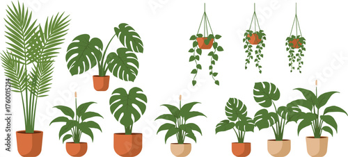 Indoor plant collection, hanging and potted houseplants, leafy greens, trailing vines, decorative pots, botanical illustration, earthy tones, home decor