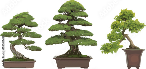 Three bonsai trees, twisted trunk design, tiered foliage layers, upright leafy structure, potted miniature plants, botanical art, nature decor