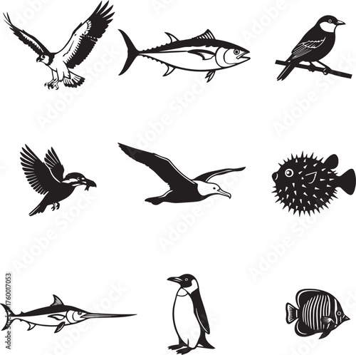 Marine Wildlife and Sea Birds - Detailed Black and White Vector Set