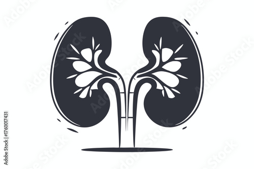 Dark kidneys show intricate structure of human anatomy in striking contrast