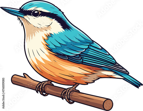 Eurasian Nuthatch Bird Perched on Branch Illustration