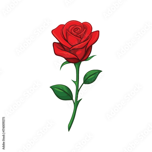 Vibrant red rose with green stem and leaves isolated on white background symbol of love and romance