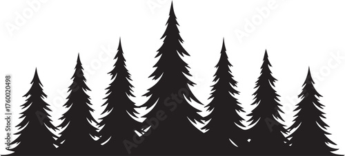 Silhouette of a dense forest of tall evergreen pine trees against a stark white background