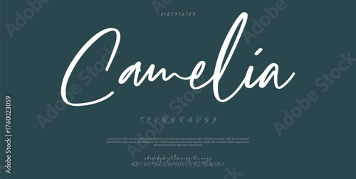 Hand drawn vector alphabet. Modern monoline signature script font. Elegant Signature Font. Best Alphabet Beautiful Calligraphy Signature Font. vector illustration