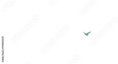 Minimalist Silhouette Of A Dove Symbolizing Peace And Unity Within the Dark