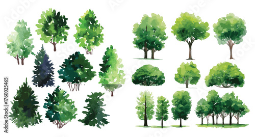 Watercolor green trees vector