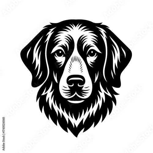 Golden Retriever Dog Head Black and White Vector Illustration
 
 
 

