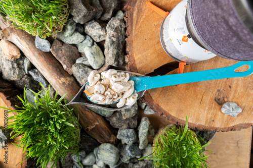 Backpacker Ingredients. Dehydrated Food, Stove System, and Spoon on Tree Stump.