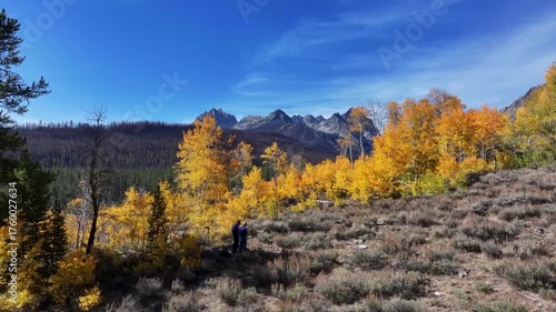Aerial view of a large grove of aspens in the Sawtooth National forest Idaho
