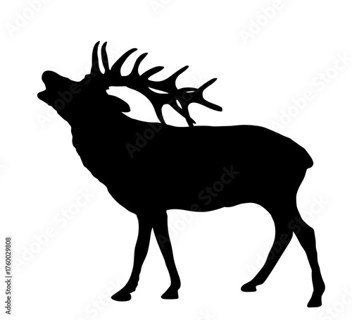 Deer roars vector silhouette illustration isolated on background. Roar reindeer shape shadow symbol, proud noble deer male in forest or zoo. Powerful buck with huge antlers standing.