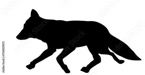 Running fox vector silhouette illustration isolated on background. Smart animal predator. Silent hunter hunting food.