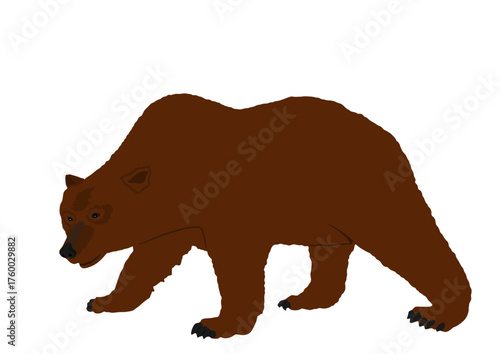 Bear vector illustration isolated on white background. Grizzly symbol. Big animal, nature wildlife. Wild beast predator. Forest hunter bear cartoon.