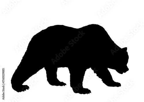 Bear vector silhouette illustration isolated on background. Grizzly symbol. Big animal, nature wildlife. Wild beast predator. Forest hunter bear cartoon.