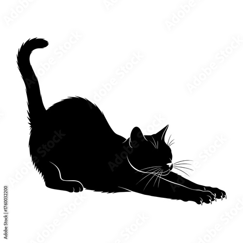 Silhouette of a stretching black cat on white background