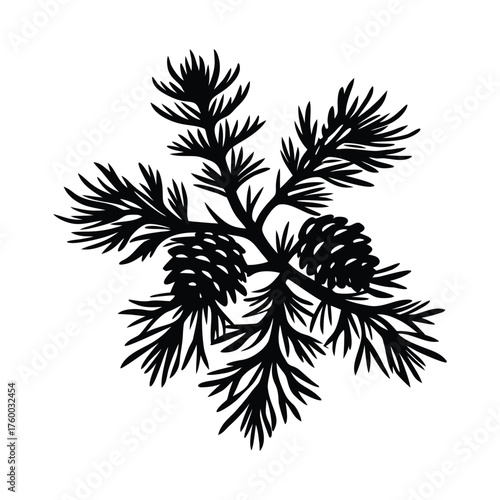 palm tree silhouette