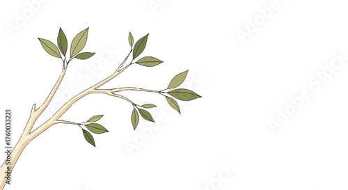 Minimalist Tree Branch With Leaves Aesthetic Design On Black Backdrop