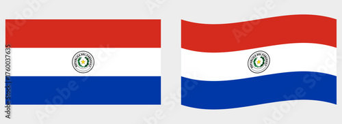 Paraguay flag wave and flat vector Illustration
Vector flag