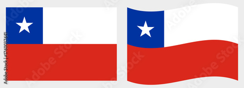 Chile flag wave and flat vector Illustration
Vector flag