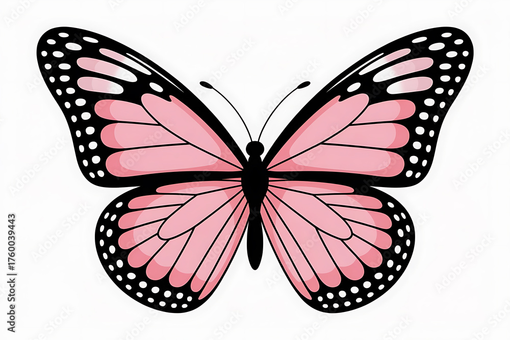 Obraz premium Delicate pink and black butterfly, wings gracefully spread, symbolizing transformation and natural beauty.