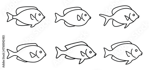 Various Simple Aquatic Animal Outlines Perfect for Marine Life Representations