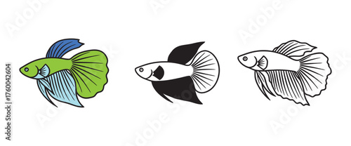 Three different style illustrations of a beautiful tropical fish perfect for design projects