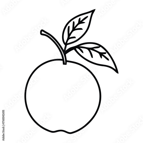 Simple line art outline illustration of a fresh apple with leaves