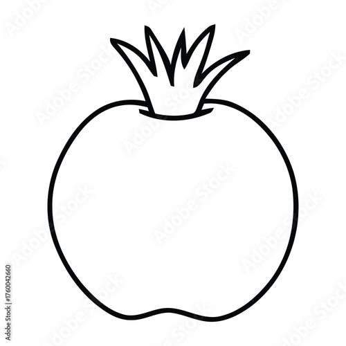 Minimalist line art outline illustration of a whole fresh pomegranate fruit