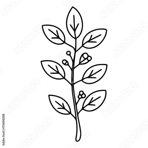 Elegant Botanical Leafy Branch with Small Berries Line Art Illustration