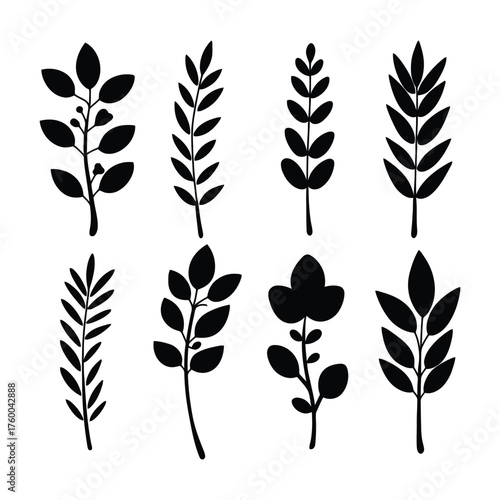 Collection of Assorted Black Botanical Branches Silhouettes Vector Illustrations