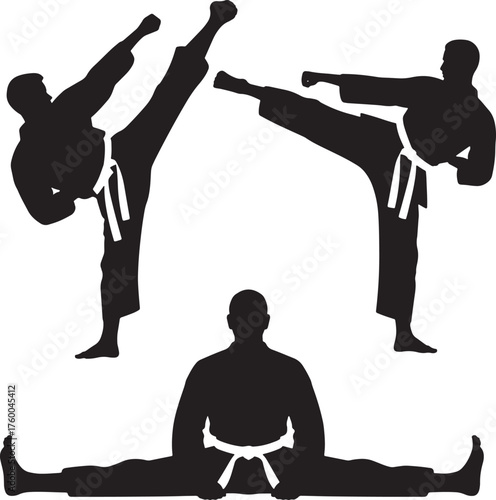 Karate Silhouette Martial Arts Training Poses | Black and White Vector Illustration for Fitness, Self-Defense and Sport