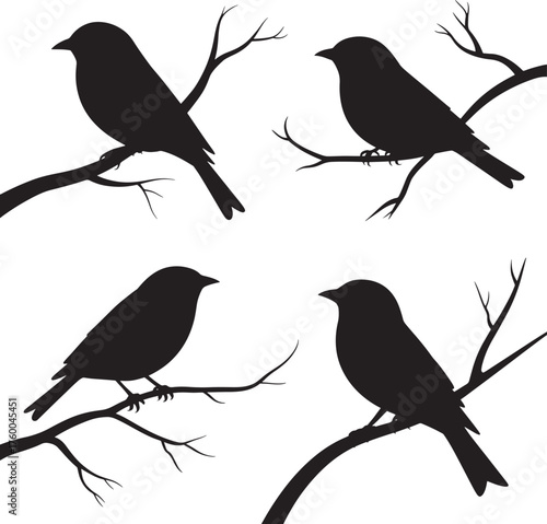 Four Bird Silhouettes on Branches | Graphic Element for Nature Designs, Ornithology, Logo and Illustration Projects