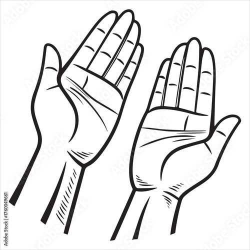 human hand  vector line art
