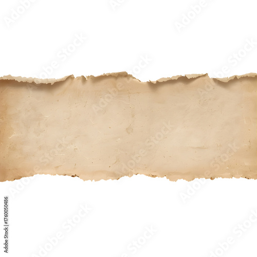 Wallpaper Mural Realistic Torn Paper Scrap Isolated on Transparent Background PNG for Collage and Design Mockups Torontodigital.ca