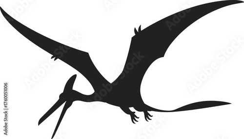 Black and white pterosaur silhouette illustration, flying prehistoric dinosaur with wings, ancient reptile vector art