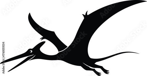 Black and white pterosaur silhouette illustration, flying prehistoric dinosaur with wings, ancient reptile vector art