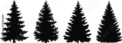 Set of black silhouette pine trees — evergreen forest tree collection for winter, nature, and Christmas design
