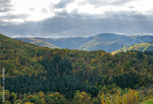 Weinanbau an der Ahr
