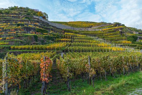 Weinanbau an der Ahr