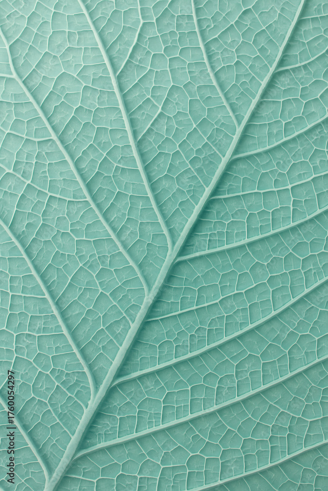 Obraz premium A detailed, close-up view of a leaf, highlighting the intricate network of veins against a soft, muted background. The color is cool and soothing.