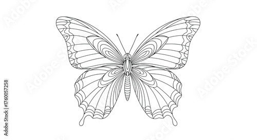 Detailed outline illustration of a beautiful butterfly with intricate wing patterns and delicate antennae.
