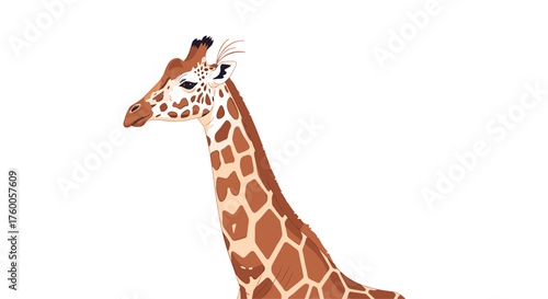 A close up of a giraffes patterned neck and head.