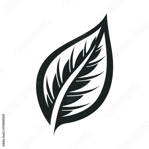 Single gray palm leaf frond floats gracefully against a crisp white backdrop