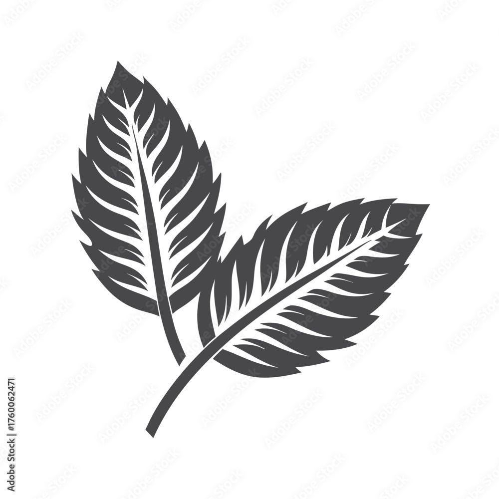 Fototapeta premium Stylized feather shows intricate details with a dark outline for nature lovers